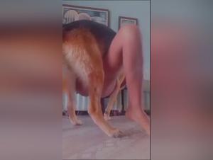 Hundefreuden Hardcore