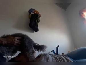 Hundurfullr Sækki: Fullur af Kum