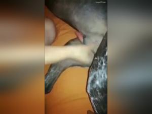 Salope Chien Baise 1