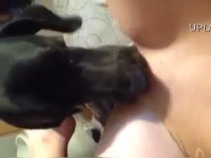Blondina sbatte con il cane, video porno extreme