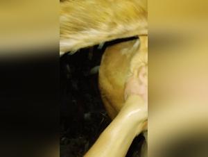 Tjej och Hund: Animaliskt Sexextreme