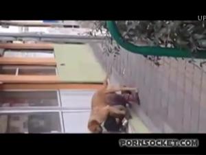 Haruki Satou Dominée, Baise Sauvage avec Chien Hardcore