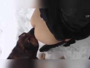 Dominated slut ridden by dog, XXX Hardcore