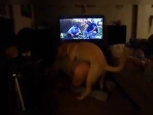 Milly baise son chien, scène hardcore