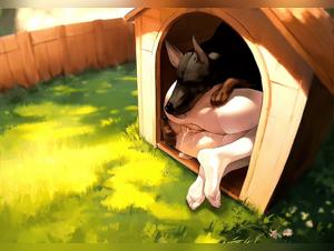 Girl Dog Fuck Extreme