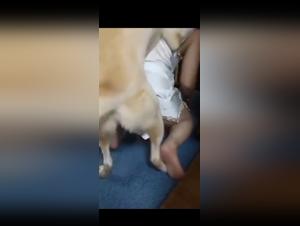 tierliebe frau, wilde beziehungen mit hund