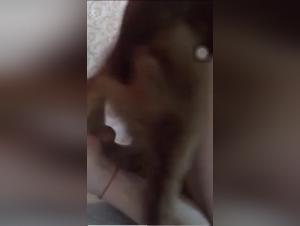 Salope Gets Fucked By Her Dog, Part 1