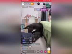 Dirty Woman Dog Fuck Live XXX