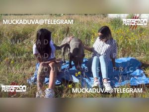 AAS Milly Dog Fuck Extreme