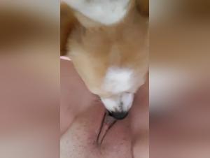 Salope et son chien - Baise extrême