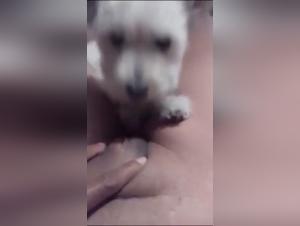 Dog Bangs Woman Extreme