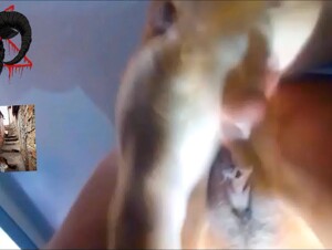 Vild hund våldtar flicka: Hardcore-video läckt ut