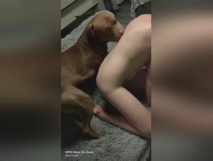 Polish Girl Dog Extreme Sex