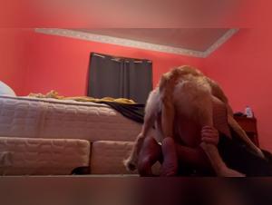 session chien dominante, baises animales expertes