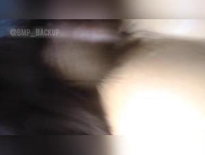 Chica Foge con Perro Parte 2 - XXX Hardcore