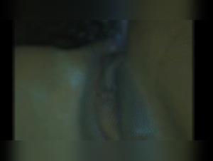 djursk sexuell film