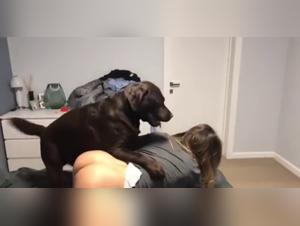  Chien Baise Fille Xxx