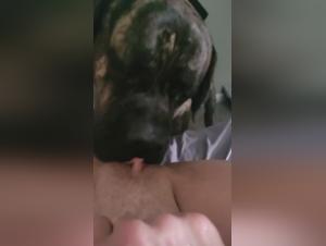 Mastiff Mom Porn: Hardcore Sex