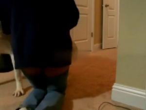 Dog Fucks Relentlessly