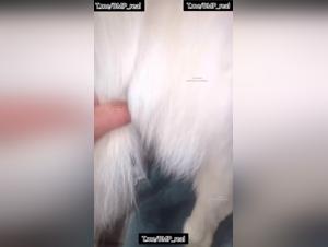 Spider Mujeres con Perro - Vídeos Porno Extremo