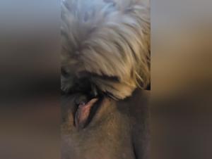  Chien baise Salope Partie 1