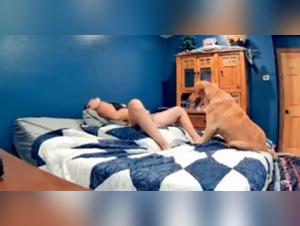 Woman Dog Sex Extreme