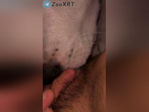 ciglia e denti, scopa animalesca