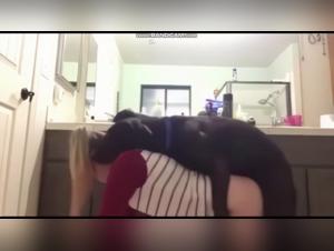 Extreme Dog Fuck Fantasy: The Dream