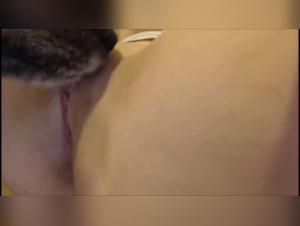 Woman fucks dog Weekend Sex