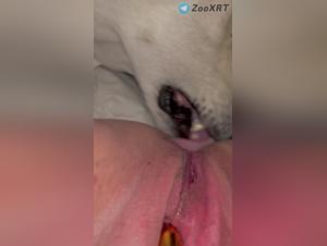 adolescente baisée par chien, licke provocateur