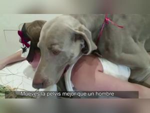 Doggy Mistress Frenzy