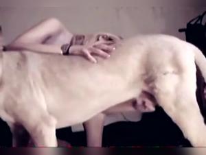 Girl Dog Extreme Sex