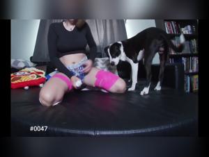 Milly und Hund - Video 02