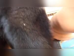 Summer Doggy Zooskool - Extreme Animal Sex