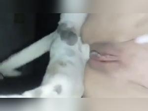 sapna hundeseks, ekstreme zooxxx videoer