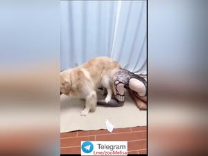 Première baise chien ado chinoise 2