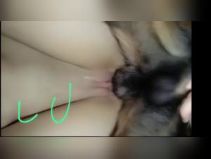 hottie selvaggia fa sesso con il cane