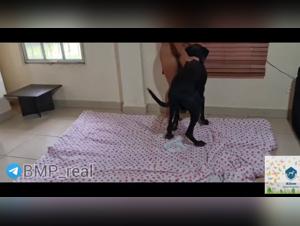 Mia - Doggy Frenzy Part 1