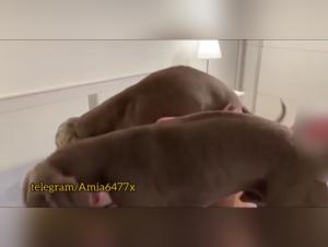 Chien défonce à la maison : Knotting hardcore