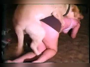 Sesso Animale: La Prostituta e il Cane