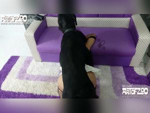 cane violenta uomo pazzo 4k