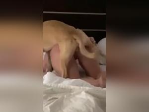 Girl Dog Sex Caught on Camera