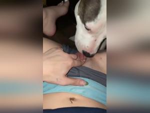 Bitch Gets Fucked by Dog - Extreme Sex