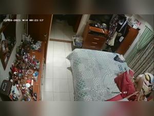 Chien défonce une meuf