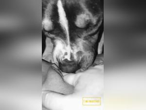 Slut Gets Dogged Part 1