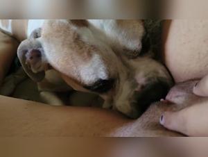 Perro Licks Mujer, Pasión Salvaje