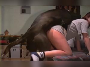 animal porn extreme, taboo pleasures