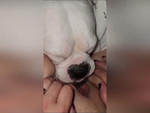 sesso con cani : lambidas incandescenti