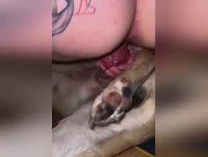 Perra con Perro Salvaje