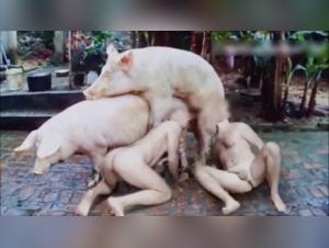 Animal Sex: Girl Fuck Dog Part 1